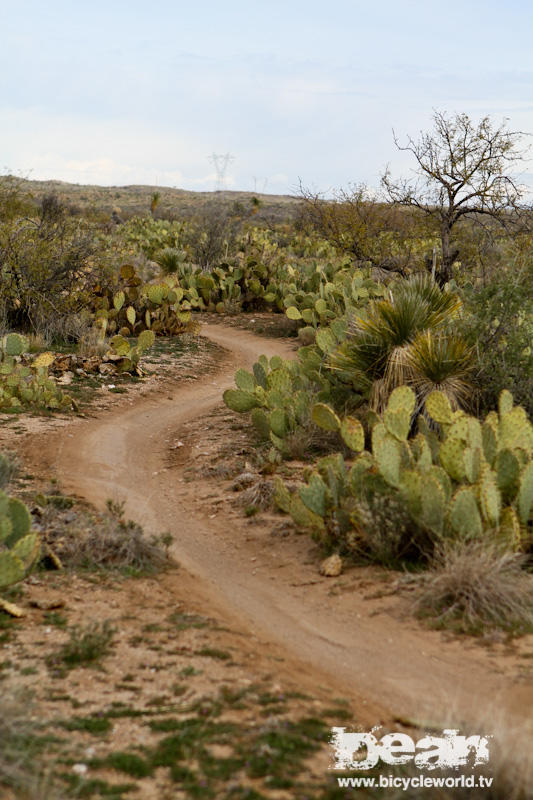 Old Pueblo single track